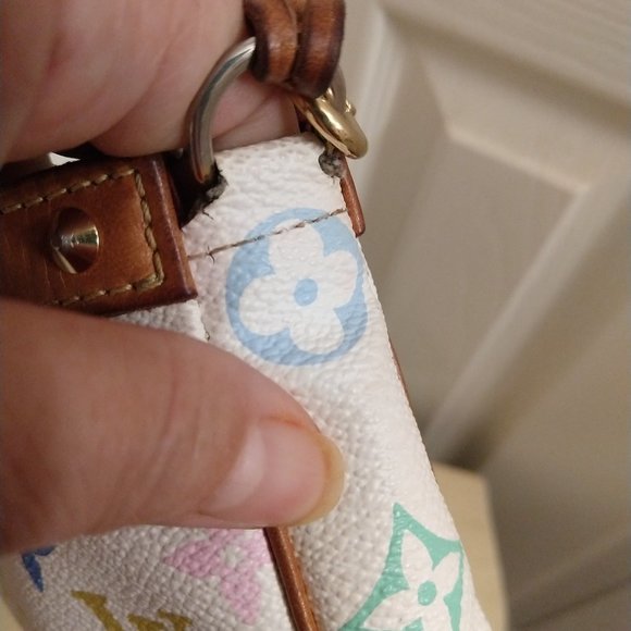 Louis Vuitton Multicolor Pochette Accessoires - Picture 14 of 16